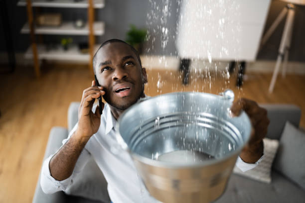 Best Water damage cleanup near me  in USA